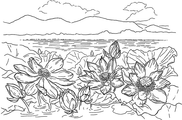 Дуэль с Оракулом