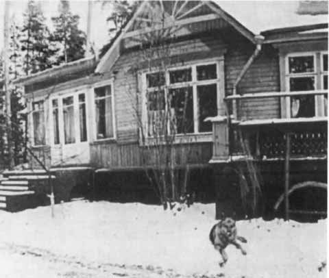 Хрущев Хрущев