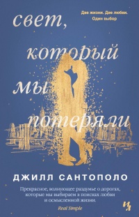 Свет, который мы потеряли - Джилл Сантополо