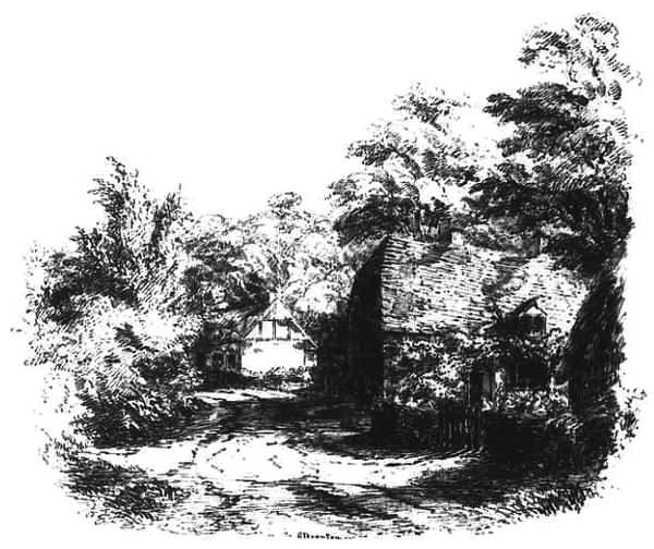 Жизнь Джейн Остин Жизнь Джейн Остин