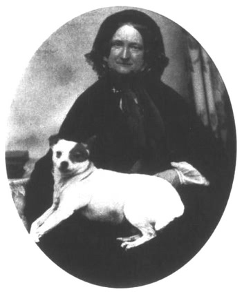 Жизнь Джейн Остин Жизнь Джейн Остин