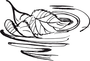 Страшная тайна братьев Кораблевых Страшная тайна братьев Кораблевых