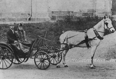 Николай II Николай II