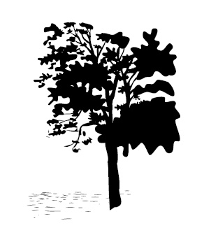 Странная месть Странная месть