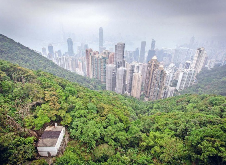 Белый медведь в стране драконов Белый медведь в стране драконов