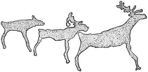 Лапландцы. Охотники за северными оленями Лапландцы. Охотники за северными оленями