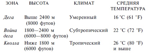 Абиссинцы. Потомки царя Соломона Абиссинцы. Потомки царя Соломона