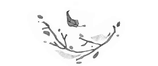 Книга огня Книга огня