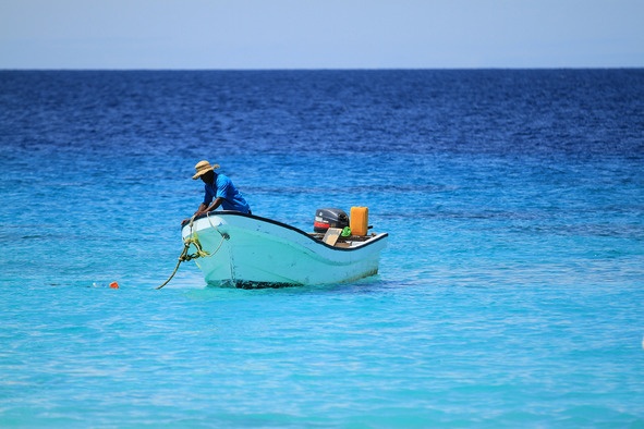 На бегу На бегу