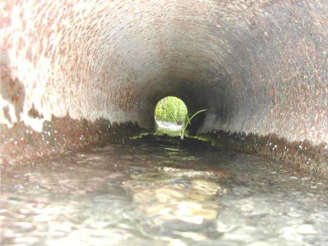 Управление Вселенной. Женщина и Вселенная