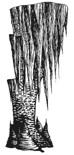 Химия. Узнавай химию, читая классику. С комментарием химика Химия. Узнавай химию, читая классику. С комментарием химика