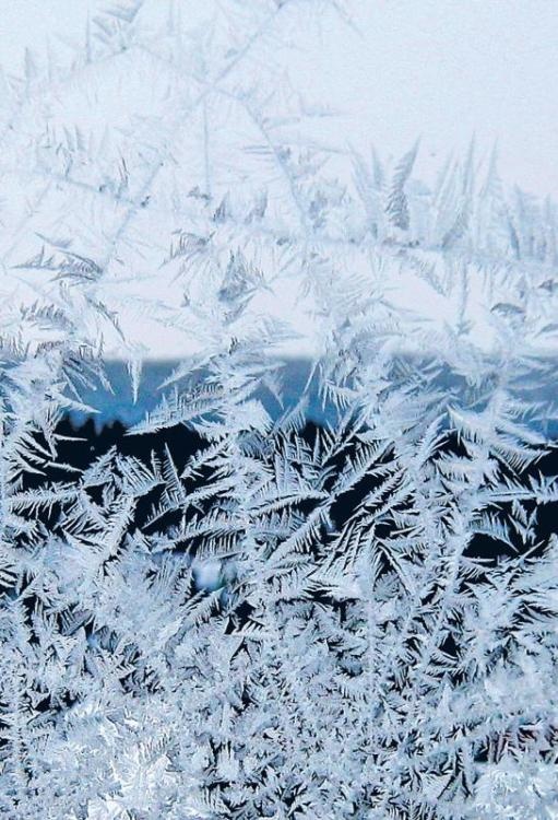 Норвежский лес: скандинавский путь к силе и свободе