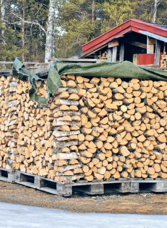 Норвежский лес: скандинавский путь к силе и свободе