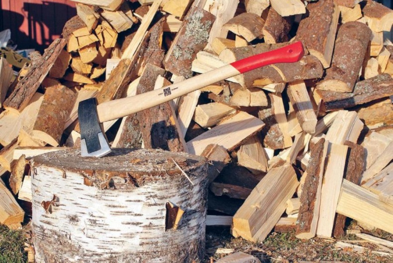 Норвежский лес: скандинавский путь к силе и свободе