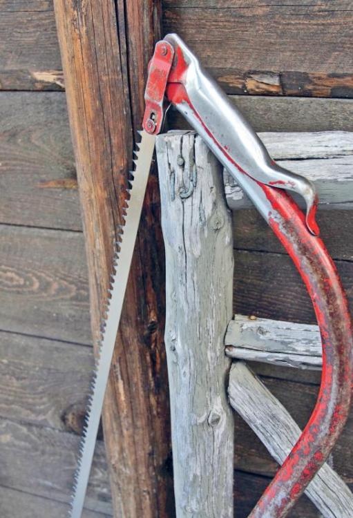 Норвежский лес: скандинавский путь к силе и свободе