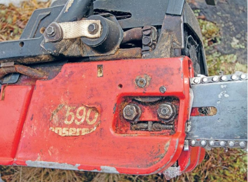 Норвежский лес: скандинавский путь к силе и свободе