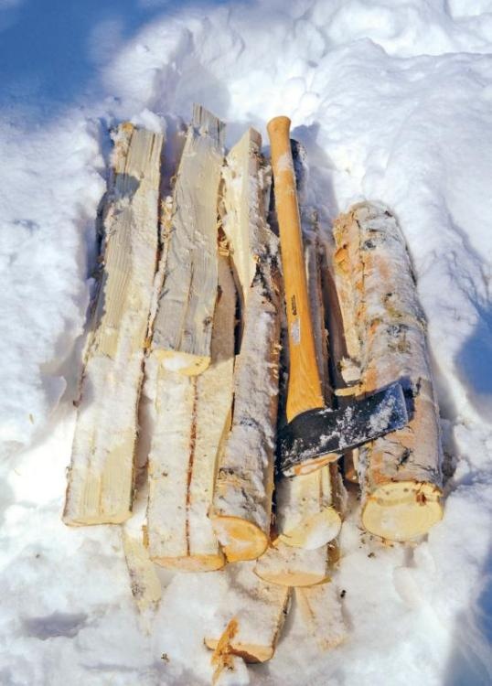 Норвежский лес: скандинавский путь к силе и свободе