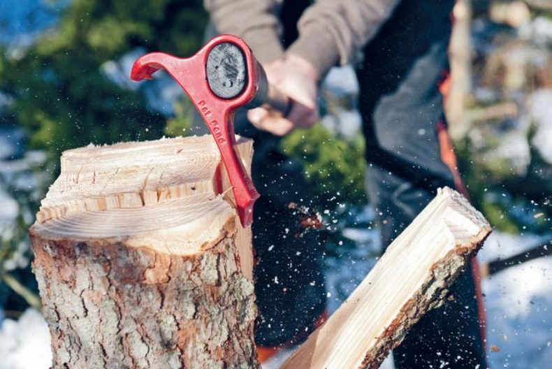 Норвежский лес: скандинавский путь к силе и свободе