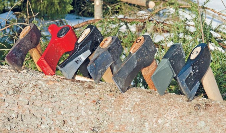 Норвежский лес: скандинавский путь к силе и свободе