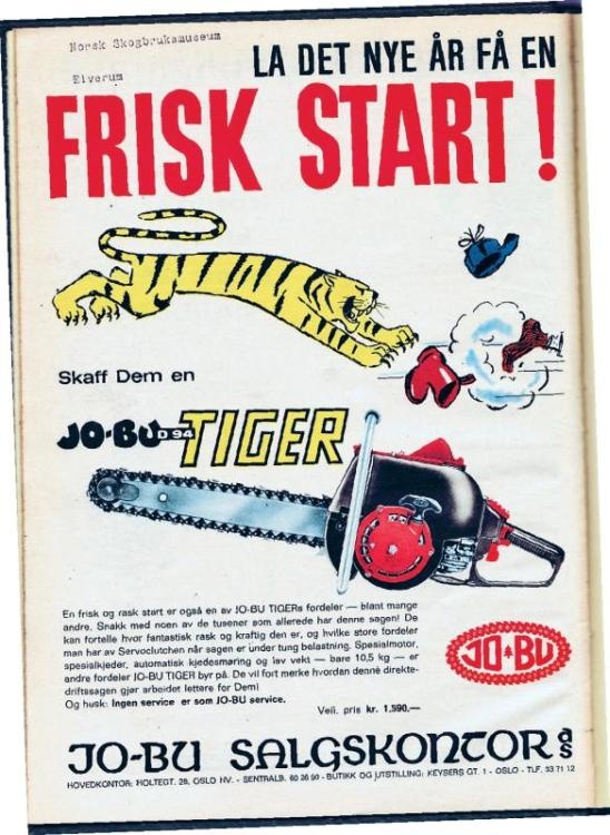 Норвежский лес: скандинавский путь к силе и свободе