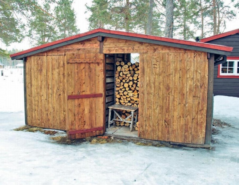 Норвежский лес: скандинавский путь к силе и свободе