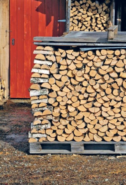 Норвежский лес: скандинавский путь к силе и свободе