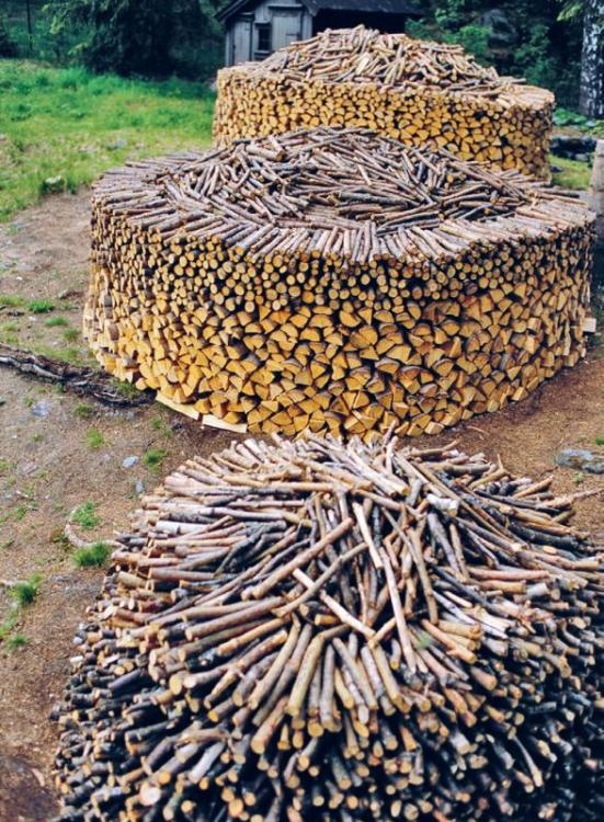 Норвежский лес: скандинавский путь к силе и свободе