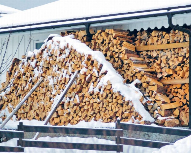 Норвежский лес: скандинавский путь к силе и свободе