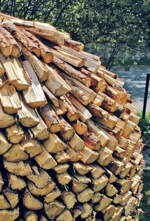 Норвежский лес: скандинавский путь к силе и свободе