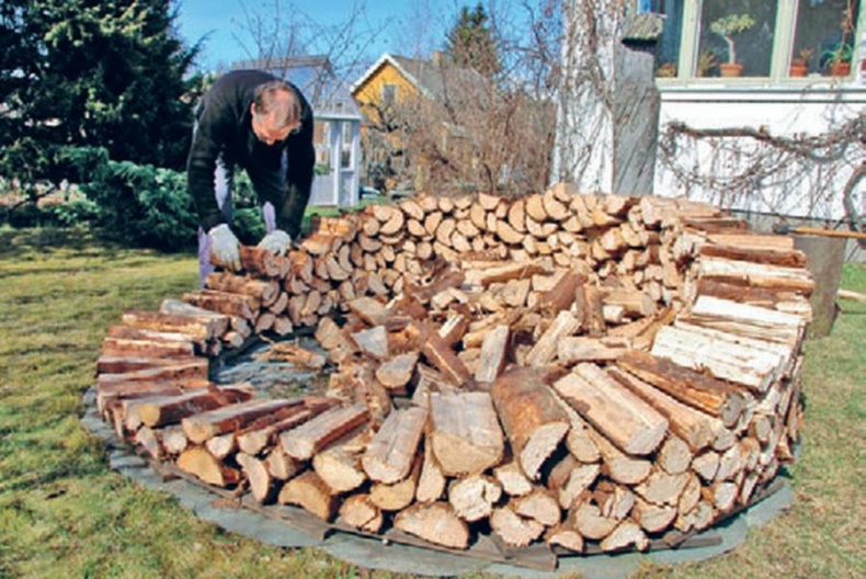 Норвежский лес: скандинавский путь к силе и свободе