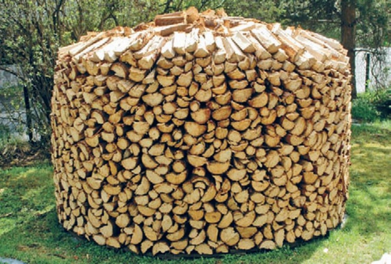 Норвежский лес: скандинавский путь к силе и свободе