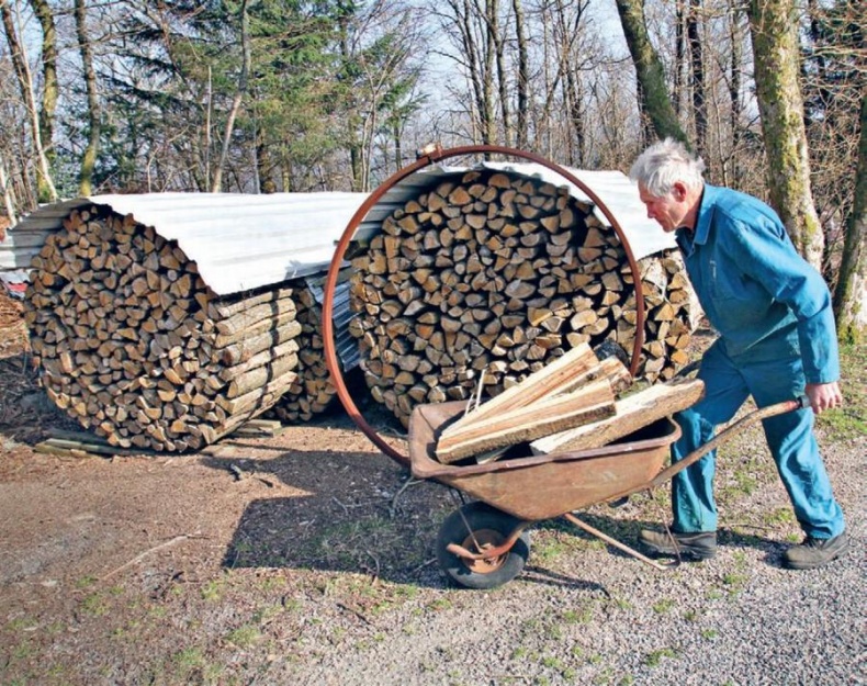 Норвежский лес: скандинавский путь к силе и свободе
