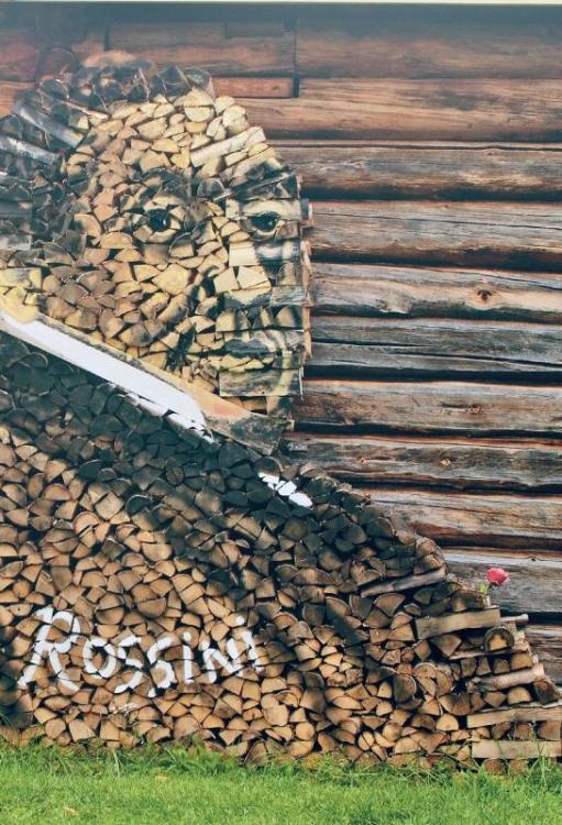 Норвежский лес: скандинавский путь к силе и свободе