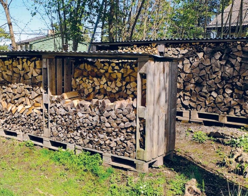 Норвежский лес: скандинавский путь к силе и свободе