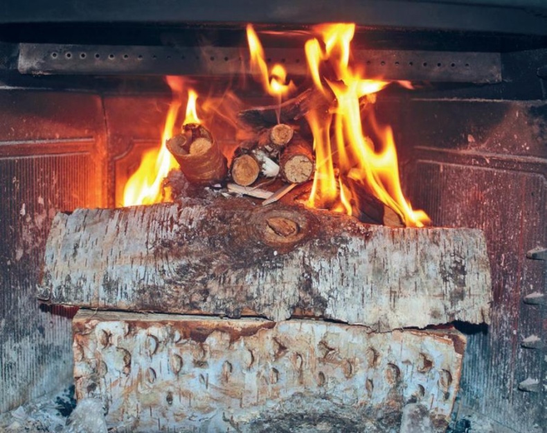 Норвежский лес: скандинавский путь к силе и свободе