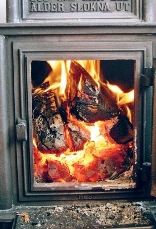 Норвежский лес: скандинавский путь к силе и свободе