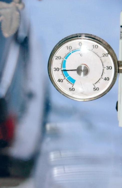 Норвежский лес: скандинавский путь к силе и свободе