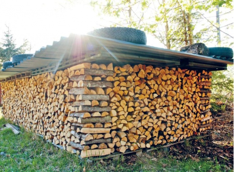 Норвежский лес: скандинавский путь к силе и свободе