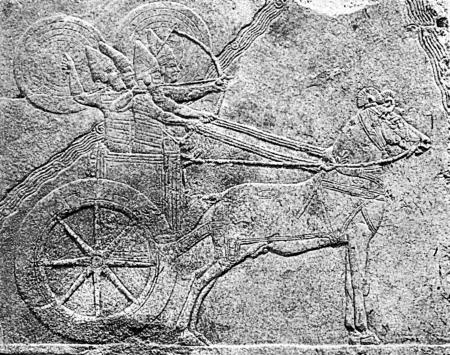 Луки и арбалеты в бою Луки и арбалеты в бою