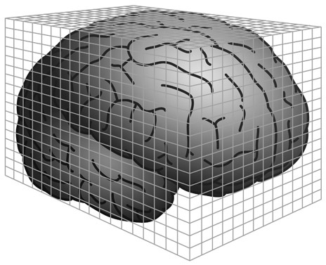 Как рождаются эмоции. Революция в понимании мозга и управлении эмоциями Как рождаются эмоции. Революция в понимании мозга и управлении эмоциями