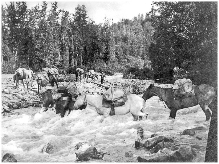 Фредерик Кук на вершине континента. Возвращаем Мак-Кинли великому американцу