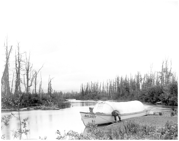 Фредерик Кук на вершине континента. Возвращаем Мак-Кинли великому американцу