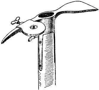 Фредерик Кук на вершине континента. Возвращаем Мак-Кинли великому американцу