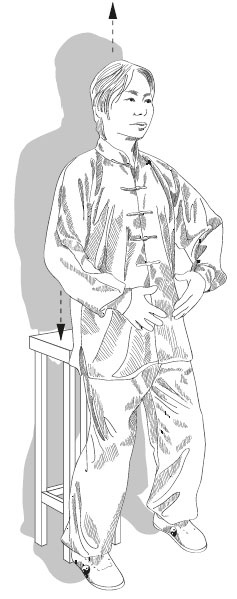 Человек тайцзи. Чжан Шаньмин. Путь мастера Человек тайцзи. Чжан Шаньмин. Путь мастера