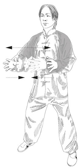 Человек тайцзи. Чжан Шаньмин. Путь мастера Человек тайцзи. Чжан Шаньмин. Путь мастера