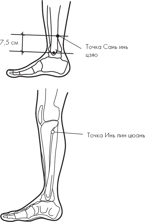 Похудение по-тибетски. Как избавиться от лишнего веса, питаясь вкусно