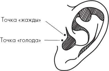 Похудение по-тибетски. Как избавиться от лишнего веса, питаясь вкусно