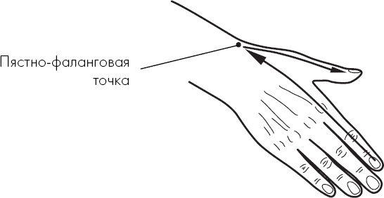 Похудение по-тибетски. Как избавиться от лишнего веса, питаясь вкусно