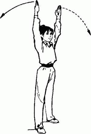 Боевая гимнастика. Упражнения китайского ушу для здоровья и самозащиты