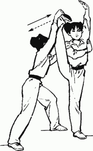 Боевая гимнастика. Упражнения китайского ушу для здоровья и самозащиты